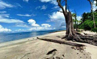 elephant beach