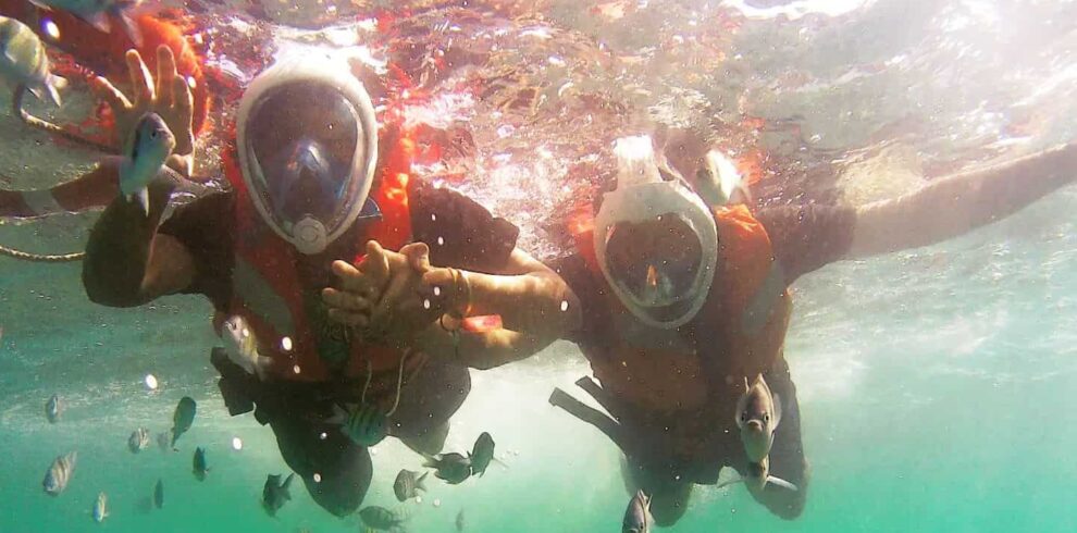 couple enjoying snorkeling at elephant beach