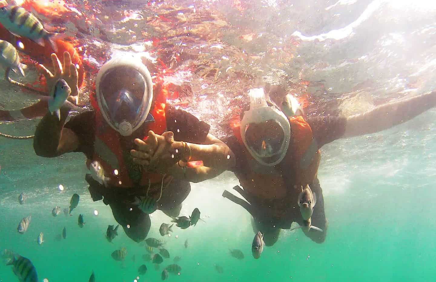 snorkeling at elephant beach