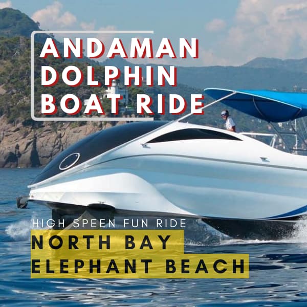 andaman dolphin glass boat ride