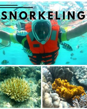 Snorkeling