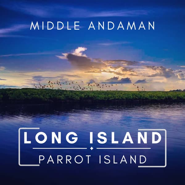 parrot island long island