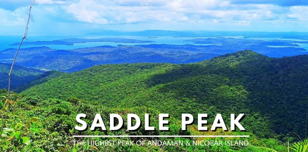 saddle peak andaman