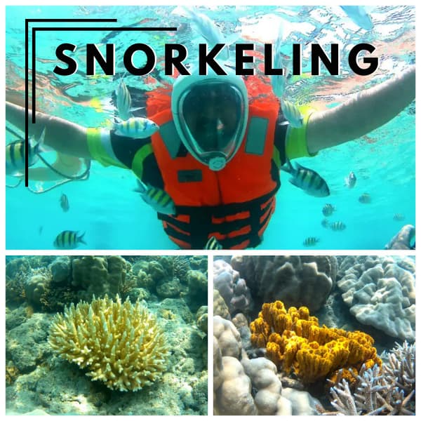 snorkeling andaman