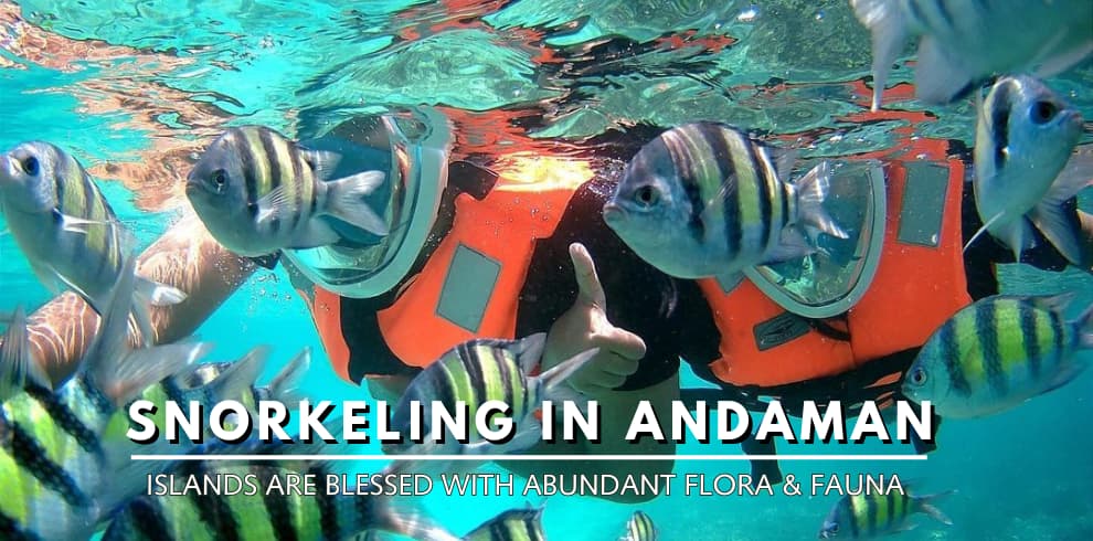 snorkeling andaman