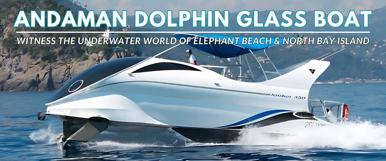 Andaman Dolphin Glass Boat