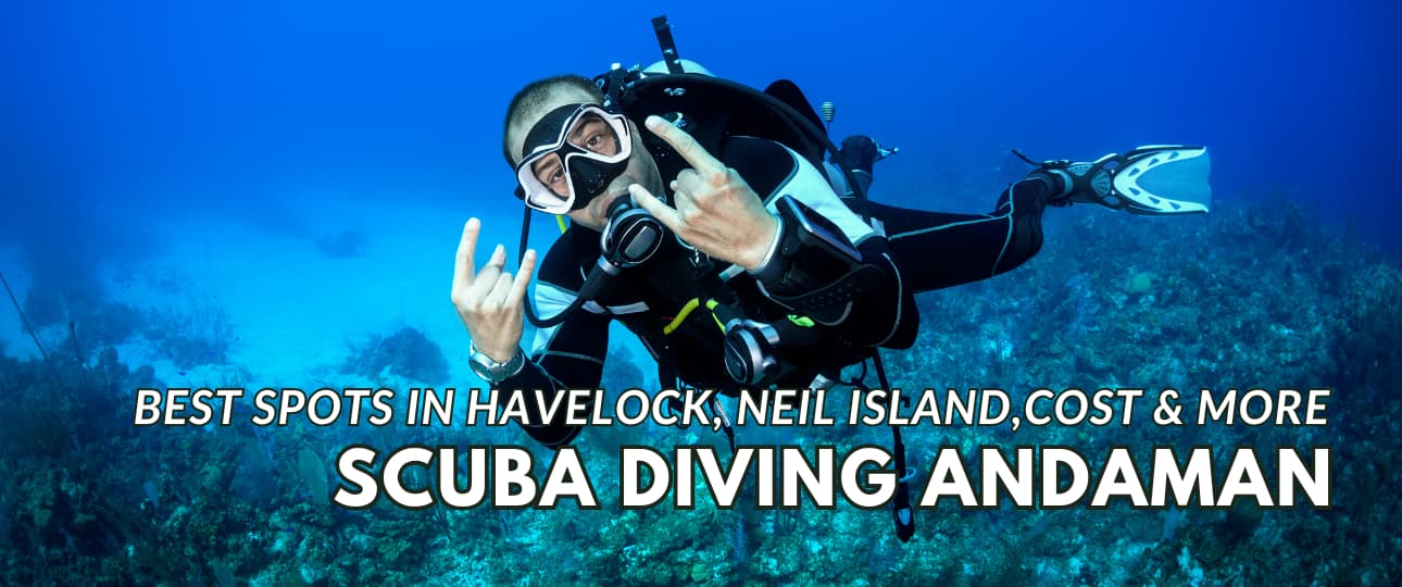 scuba diving andaman