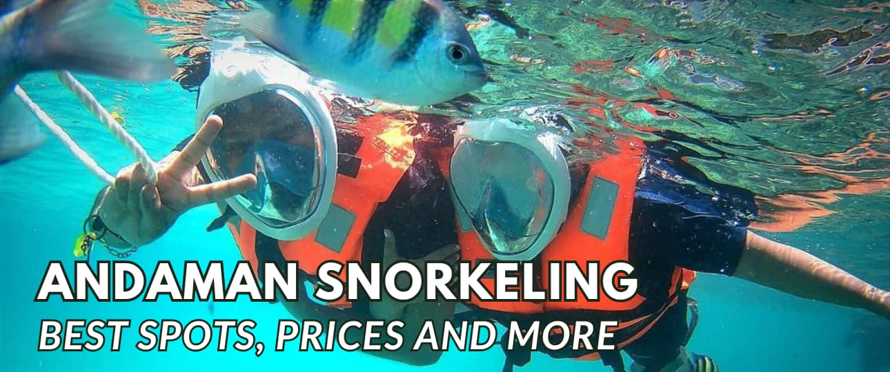 snorkeling andaman