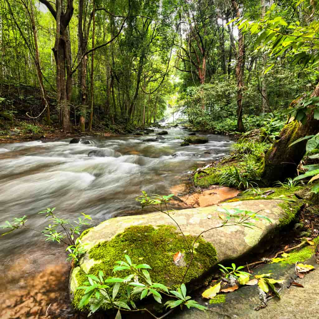 andaman monsoon