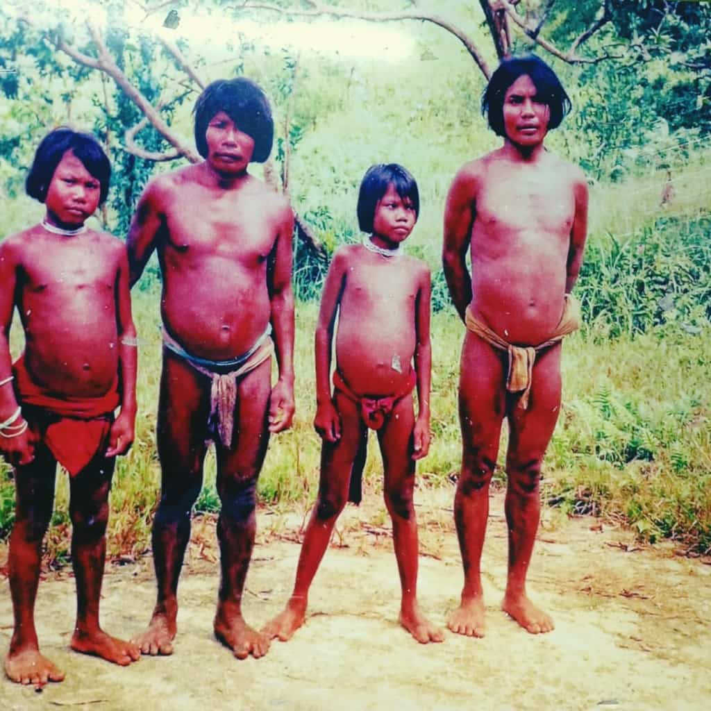 shompens tribe andaman island