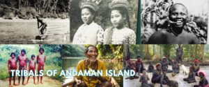 tribes of andaman and nicobar islands